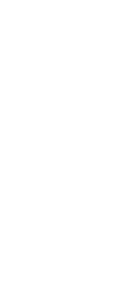 Icarus Logo